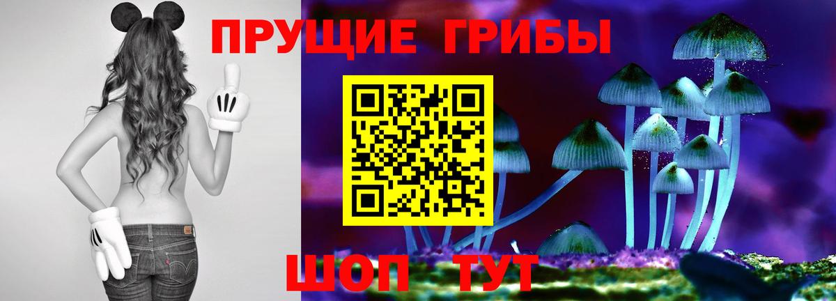 Галлюциногенные грибы мицелий  Вход с VPN  Дзержинск 